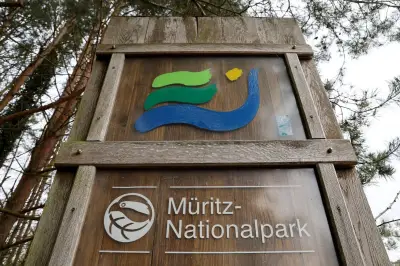 Waldbrand im Müritz-Nationalpark: Nur ein Baumstamm glimmte