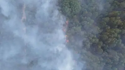 Waldbrand Müritz: Bundeswehr entschuldigt sich nach Drohnen-Zwischenfall
