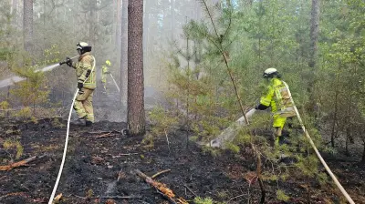 Waldbrand nahe Landratsamt: Feuerwehr stoppt Ausbreitung
