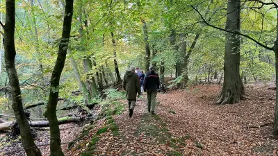 Waldumbau erleben: Wanderung durch die Göhrener Tannen am 29. August