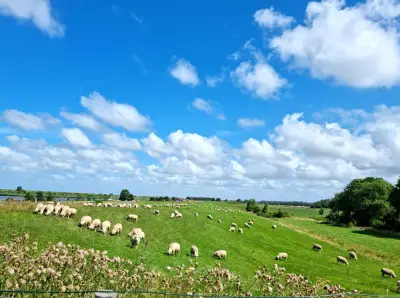 Wetter im Norden: Am Wochenende wird es heiß - bis zu 33 Grad