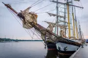35. Hanse Sail in Rostock: 120 Schiffe aus sieben Nationen erwartet