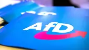 AfD lässt CDU und SPD in Umfragen weit hinter sich
