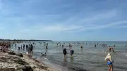 Blaualgen an der Ostsee: Trotz Warnung baden viele in Warnemünde