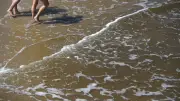 Blaualgen in Warnemünde: Badewarnung für Strandabschnitte 30 bis 36