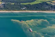 Blaualgen vor Warnemünde: Gesundheitsamt warnt vor dem Baden