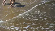 Blaualgen-Warnung in Warnemünde: Strandabschnitte 30 bis 36 meiden
