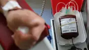 Blutspende in Demmin am 20. August ohne Anmeldung möglich