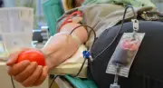 Blutspenden-Mangel: Kliniken in MV nicht vollständig versorgt