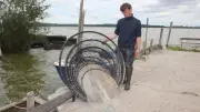 Diebstahl auf dem Malchiner See: Fischer verliert beste Reuse