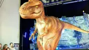 Dinoquest: Dinosaurier-Show gastiert auf Demminer Festwiese