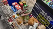 Einkauf in Polen: Familie spart 100 Euro – dann kommt die Parkstrafe