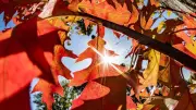 Eltern-Kind-Wochenende in Neubrandenburg: Herbst entdecken