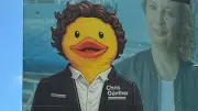 Enten-Plakat der CDU in Rostock sorgt für Aufsehen