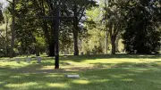 Erneut Grabplatten vom Alten Friedhof in Schwerin gestohlen