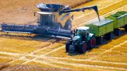 Ernte in MV: Durchschnittlich, aber Bauern bangen um Einnahmen
