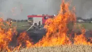 Feldbrand bei Wüstenfelde: Funkenflug löst Großaufgebot der Feuerwehr aus