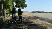 Feuerwehr stoppt Ödlandbrand nahe Wardow