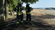 Feuerwehr verhindert Ausbreitung von Ödlandbrand bei Alt Kätwin