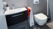 Fledermaus im WC: Autor rettet Flattertier aus der Toilette