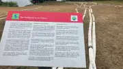 Fünf Wochen nach Waldbrand: Polizei noch nicht am Tatort