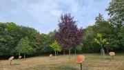 Friedhofsgebühren in Anklam könnten erheblich steigen
