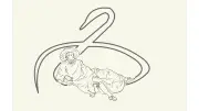 Goethe-Festival in Waren: Entdecken und Mitmachen vom 24. August bis 5. September