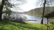 Gute Wasserwerte, trotzdem Badeverbot: Was ist mit dem Schwandter See los?
