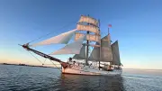 Hanse Sail 2026: Über 120 Traditionssegler im Livestream erleben