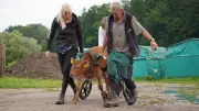 Kälbchen Pau-Pau kämpft mit Rollwagen um Selbstständigkeit