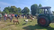 Lebenshof Wietstock: Ziege Flocke sollte an Löwen verfüttert werden