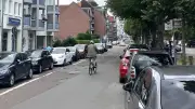 Mecklenburgstraße wird Fahrradstraße: Umbau startet im Oktober