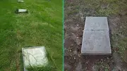 Messingplatten von Kriegsgräbern in Schwerin gestohlen