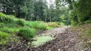 Mühlenbach in Groß Teetzleben ausgetrocknet: Trockenheit bedroht Gewässer