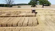 Mini-Mähdrescher: Kleine Erntemaschinen für große Feldversuche