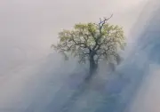 Nebel weicht: Sonne und bis zu 26 Grad in Mecklenburg-Vorpommern