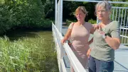 Neue Natura-2000-Station am Schweriner See: Superhelden für den Vogelschutz