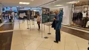 NS-Kindermorde: Ausstellung in Schweriner Marienplatz-Galerie
