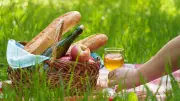 Open-Air im Gutspark Groß Gievitz mit Picknick, Musik und Film