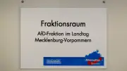Rechnungshof wirft AfD-Fraktion Missbrauch von Steuergeld im Wahlkampf vor