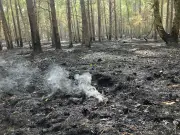 Schwelbrände im Müritz-Nationalpark: Keine Gefahr, aber kein Löschen möglich