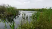 Sölle bei Dömitzow nach Pflege wieder mit Wasser gefüllt