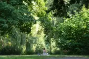 Sommerwetter im Norden: Bis zu 31 Grad am Wochenende