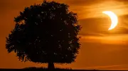 Sonnenfinsternis begeistert in MV – Fotograf hält den Moment fest
