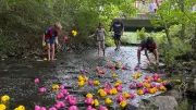 Stepenitztalfest: Helfer am Limit – Verein sucht Unterstützung