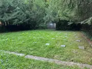 Stralsund: St. Jürgen-Friedhof wird neu gestaltet