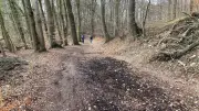 Streit um Uferweg-Ausbau in Schwerin spitzt sich zu