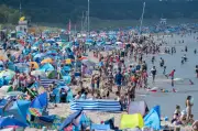 Tourismus-Hochsaison: Jeder zweite Anbieter zufrieden