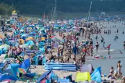 Tourismus in MV: Jeder zweite Anbieter zufrieden