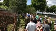 Trotz Hanse Sail: Über 300 Besucher feiern Tierschutz in Laage